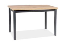 Обеденный стол ADAM 100x60 дуб артисан/черный