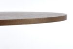 Обеденный стол LOCARNO 170 /90/75 cmÂ â€” Ð¸Ð·Ð¾Ð±Ñ€Ð°Ð¶ÐµÐ½Ð¸Ðµ 4