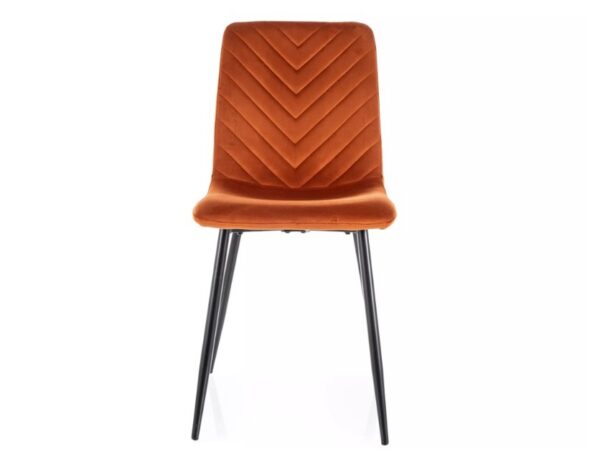 Стул DAREN velvet Bluvel 4215 корицаÂ â€” Ð¸Ð·Ð¾Ð±Ñ€Ð°Ð¶ÐµÐ½Ð¸Ðµ 3